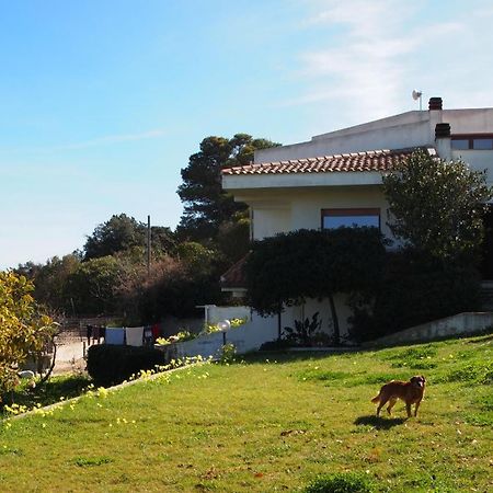 Asinara Villa Sassari Eksteriør billede