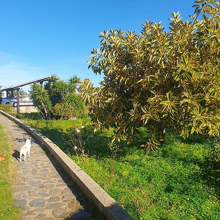Asinara Villa Sassari Eksteriør billede