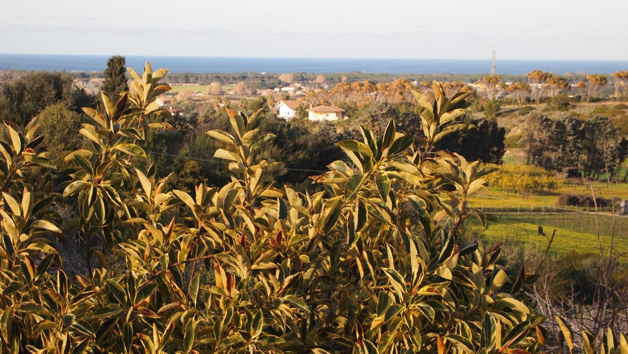 Asinara Villa Sassari Eksteriør billede