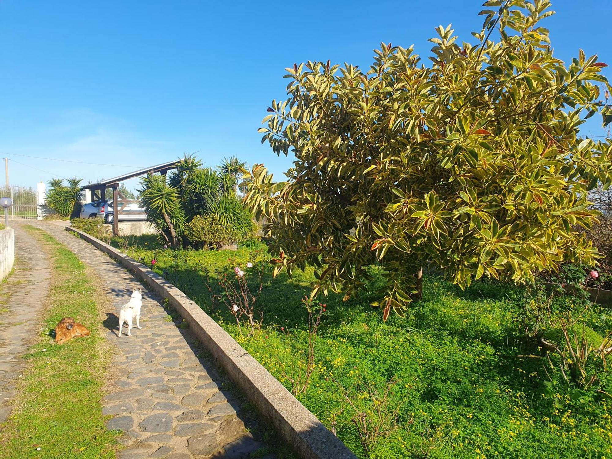 Asinara Villa Sassari Eksteriør billede